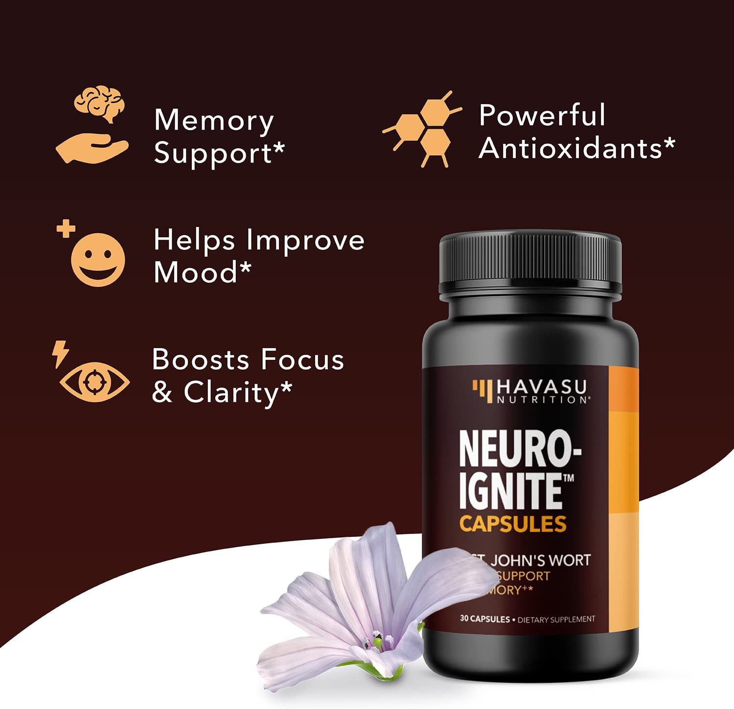 NeuroIgnite Nootropic Focus Brain Support Key Features